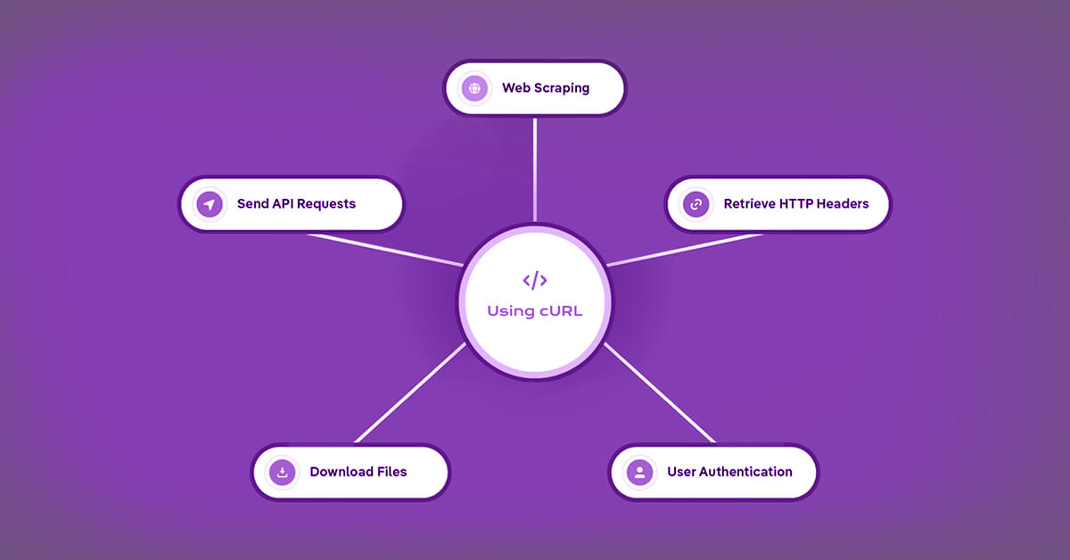 a-comprehensive-beginners-guide-to-data-scraping