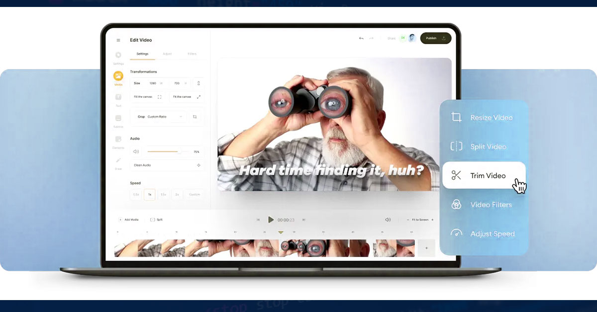 Website-Transitions
