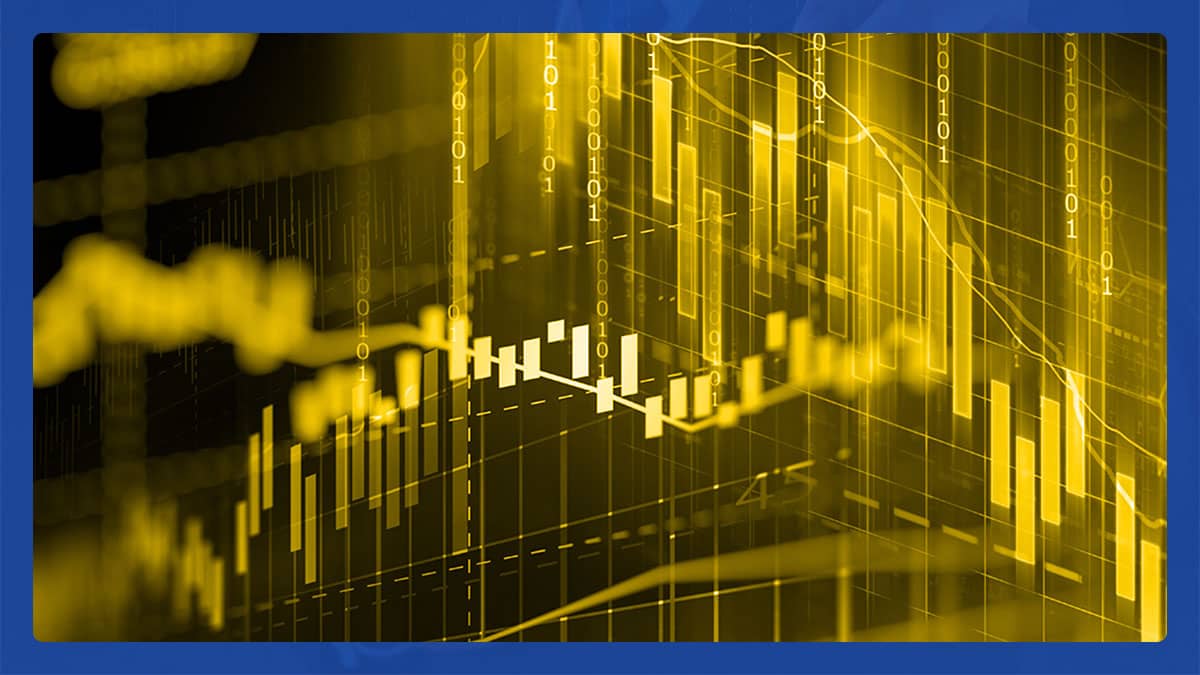 What-is-price-optimization